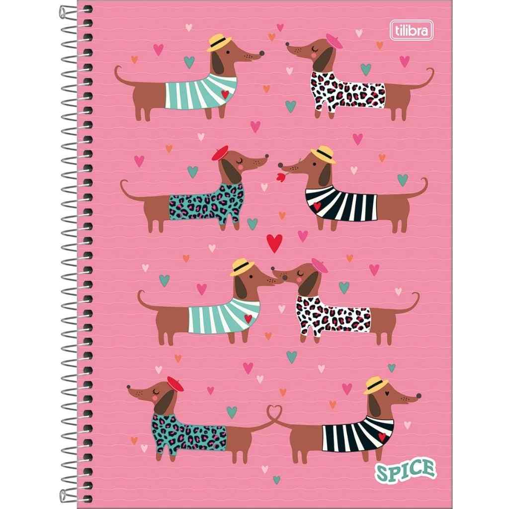 CADERNO 10X1 SPICE FEMININO 